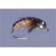 Tungsten 46