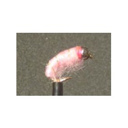 Tungsten 51