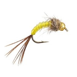 Yellow Body Glass Nymph