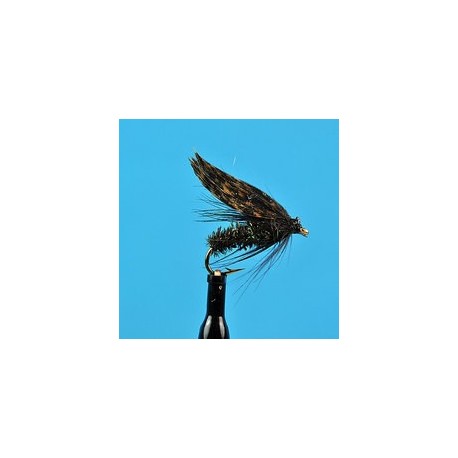 Alder Fly Wet