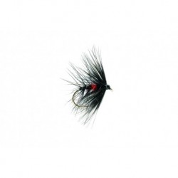 Bibio