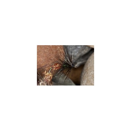 Black and Orange Worm Fly