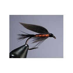 Black and Orange