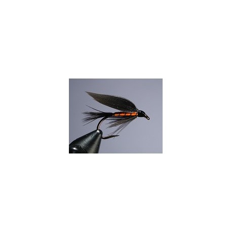 Black and Orange