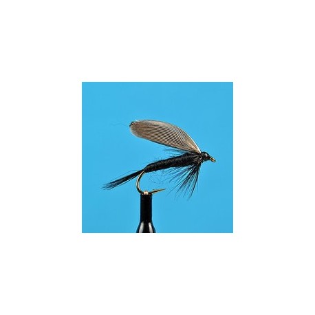 Black Gnat Wet Fly