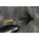Black Pennel