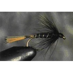 Black Pennel