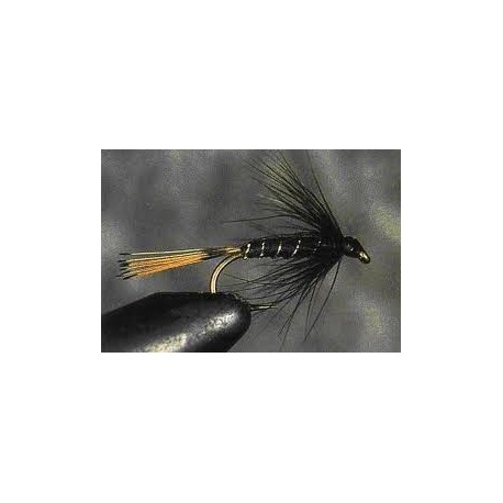 Black Pennel