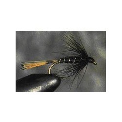 Black Pennel