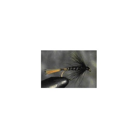 Black Pennel