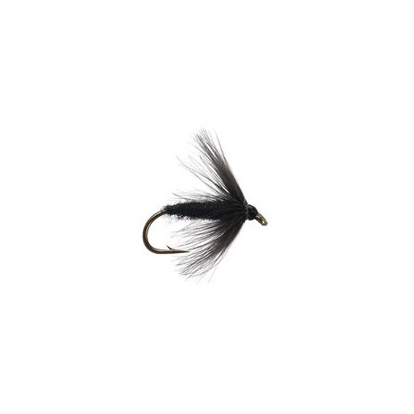 Black Spider