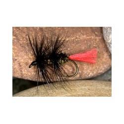 Black Worm Fly