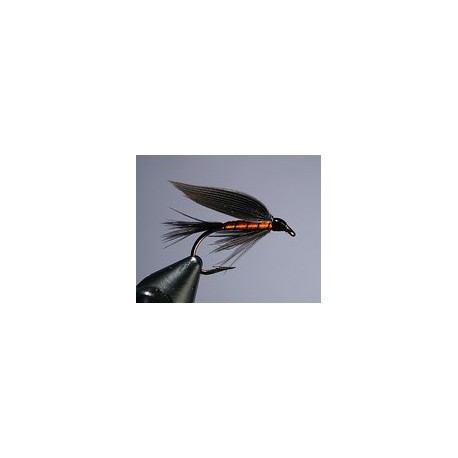 Black and Orange