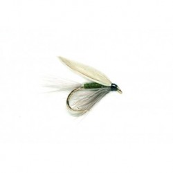 Blue Winged Olive