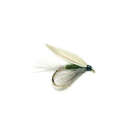 Blue Winged Olive