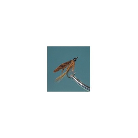 Brown Drake Wet Fly