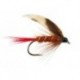 Brown Red Tailed Wet