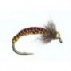 Josef (Brown Orange)