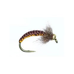 Josef Brown Orange