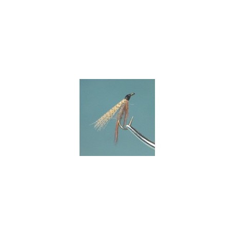 Cahill Dark Wet Fly