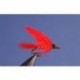 Cardinal