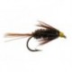 Carey Spezial Peacock