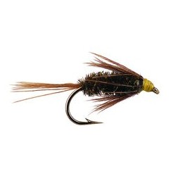 Carey Spezial Peacock