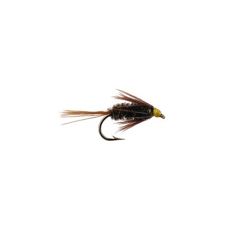 Carey Spezial Peacock