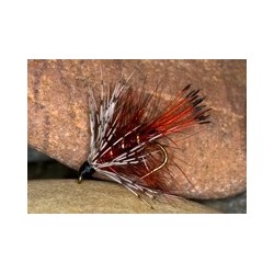 Clar Bog Fly Bum