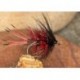 Claret Bruiser Bibio
