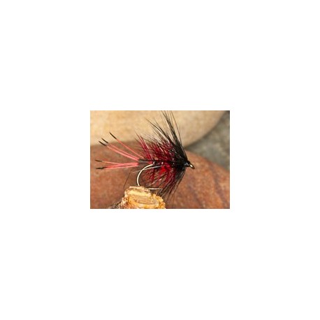Claret Bruiser Bibio