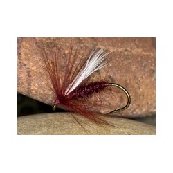 Claret Emerger