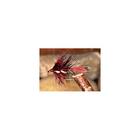 Claret Jointer Bumble