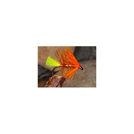 Copper Olive
