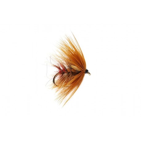 Coppertop