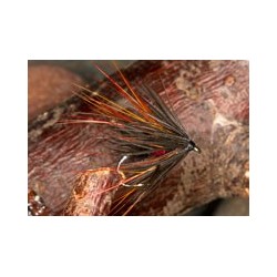 Crippler Bibio