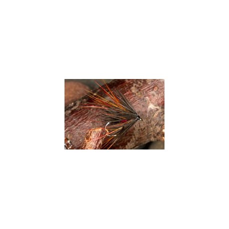 Crippler Bibio