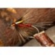 Cruncher Fb