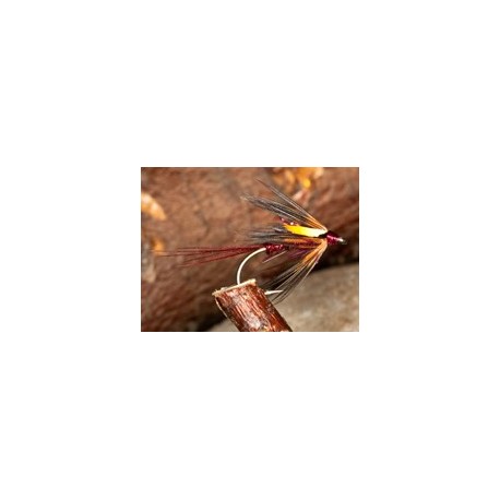 Cruncher Polar Claret