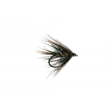 Dabbler Black & Gold