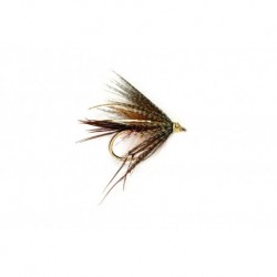 Dabbler Claret Leggy