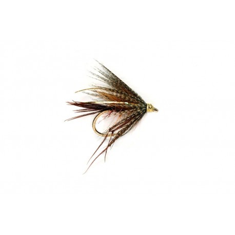 Dabbler Claret Leggy