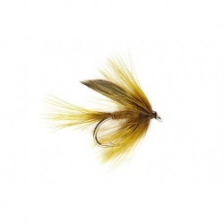 Dark Golden Olive