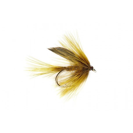 Dark Golden Olive