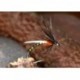 Duck Fly No