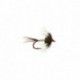 Dw Catchall Spider