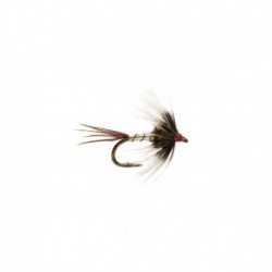 Dw Catchall Spider