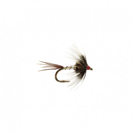 Dw Catchall Spider