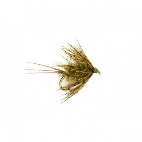 Dw Green Drake