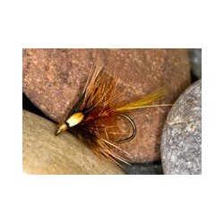 Fierybrown Cekate